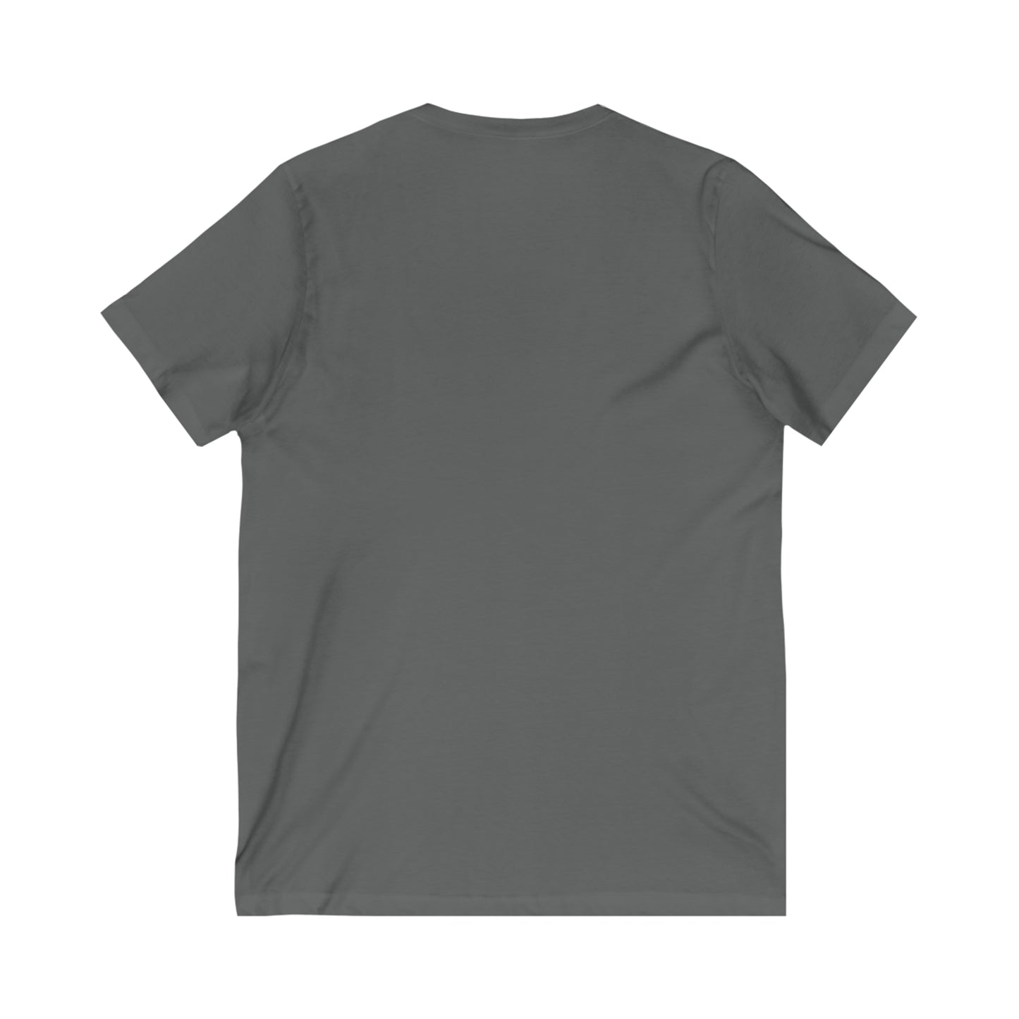 Teacher Unisex Jersey Short Sleeve V-Neck Tee