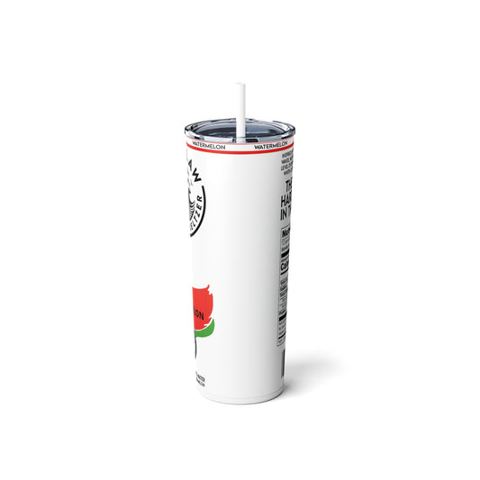 Seltzer Inspired Skinny Steel Tumbler with Straw, 20oz